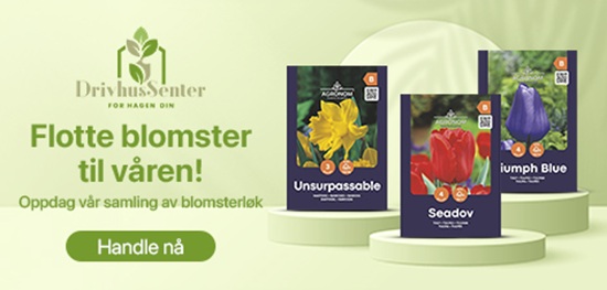 Blomsterløk
